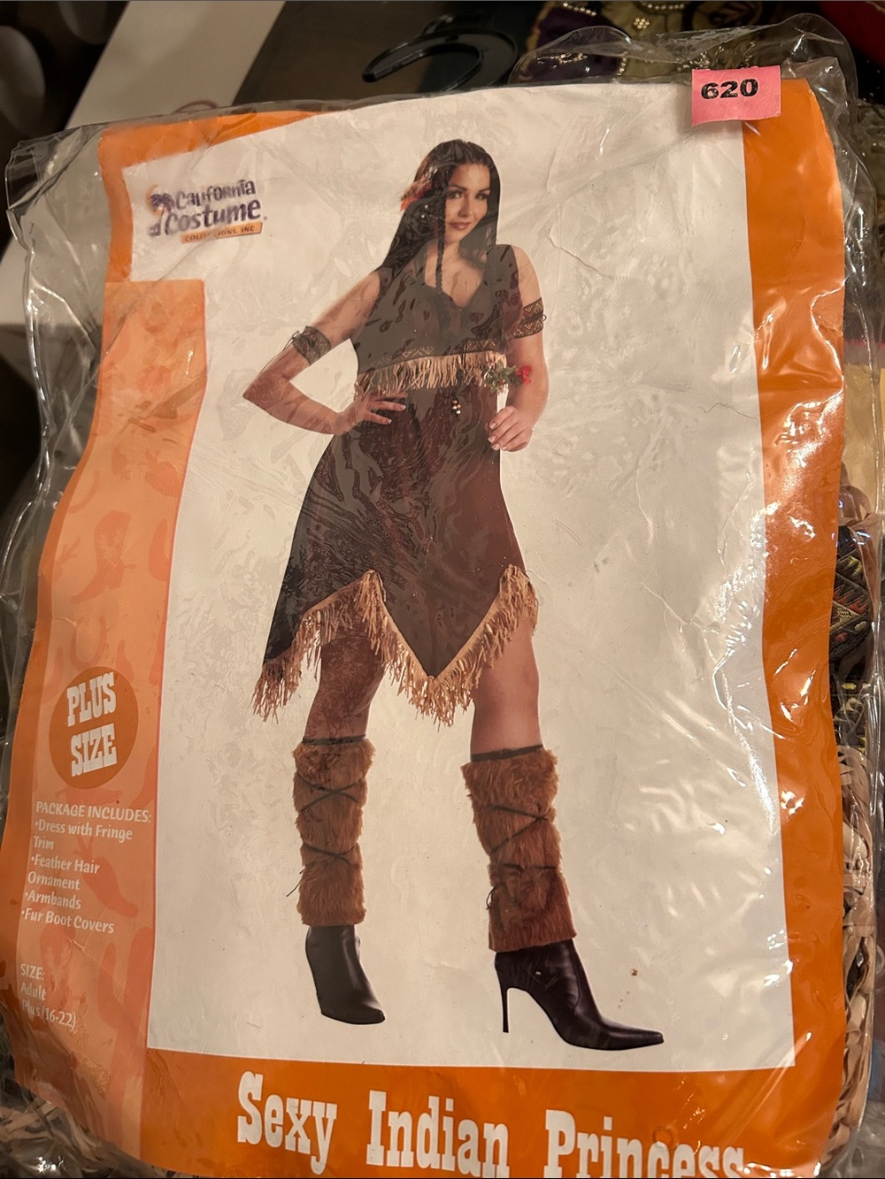 California Costumes Brown and Tan Indian Princess Costume - Plus Size